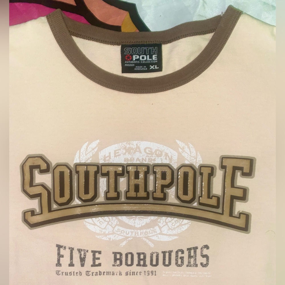 Brown Southpole Screen & Puff Print Crewneck T-shirt